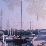 film, danno da emulsione, digitalizzati, pulizia, trasferiti, muffa